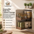Lumerrarr™ Extendable Pull-Out Cabinet Storage Organizer